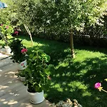 Hotell Blue Bay